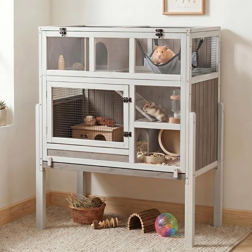 Petscosset large guinea - large, pig