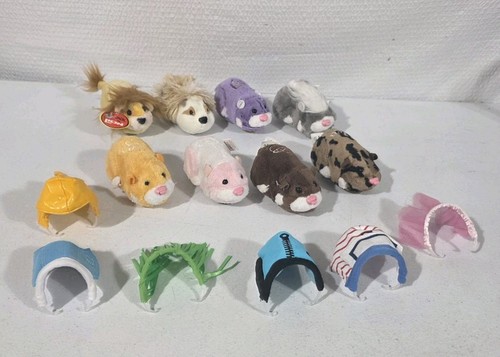 Lot zhu pets - of,